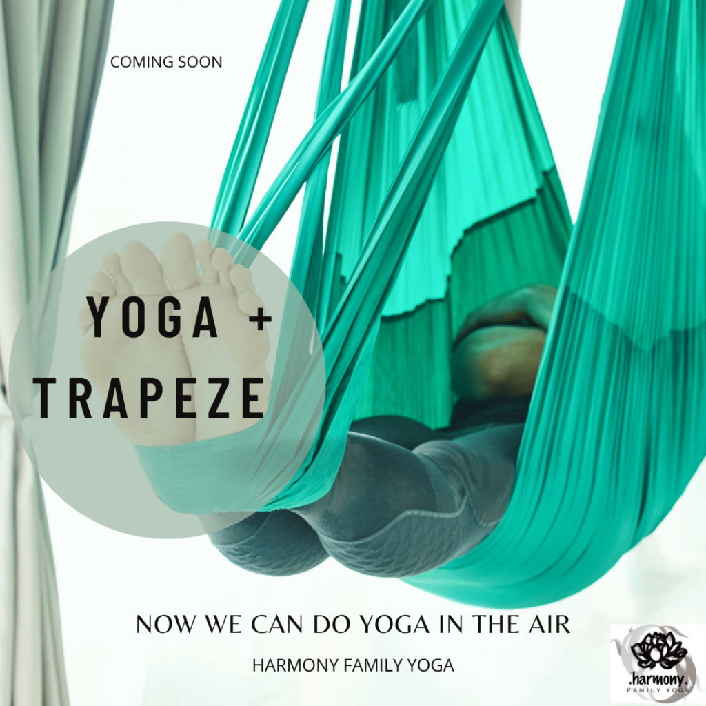 Suspension Yoga Series Harmony Family Yoga Traditional Yoga Studio